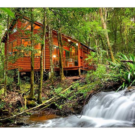 The Mouses House Rainforest Retreat Springbrook Eksteriør billede