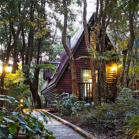 The Mouses House Rainforest Retreat Springbrook Eksteriør billede