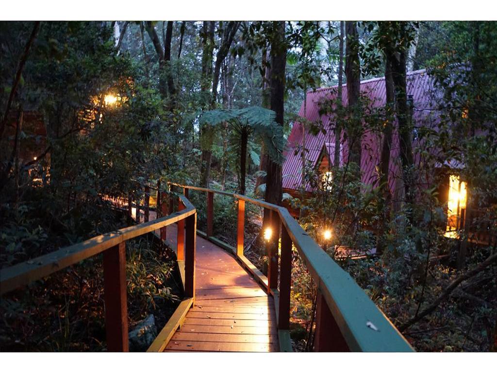 The Mouses House Rainforest Retreat Springbrook Eksteriør billede