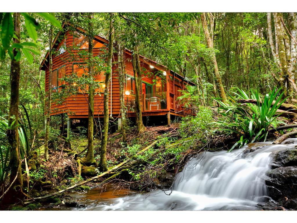 The Mouses House Rainforest Retreat Springbrook Eksteriør billede