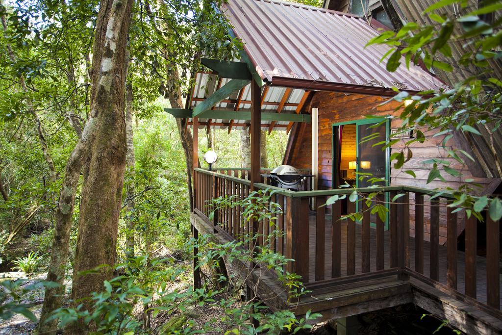 The Mouses House Rainforest Retreat Springbrook Eksteriør billede