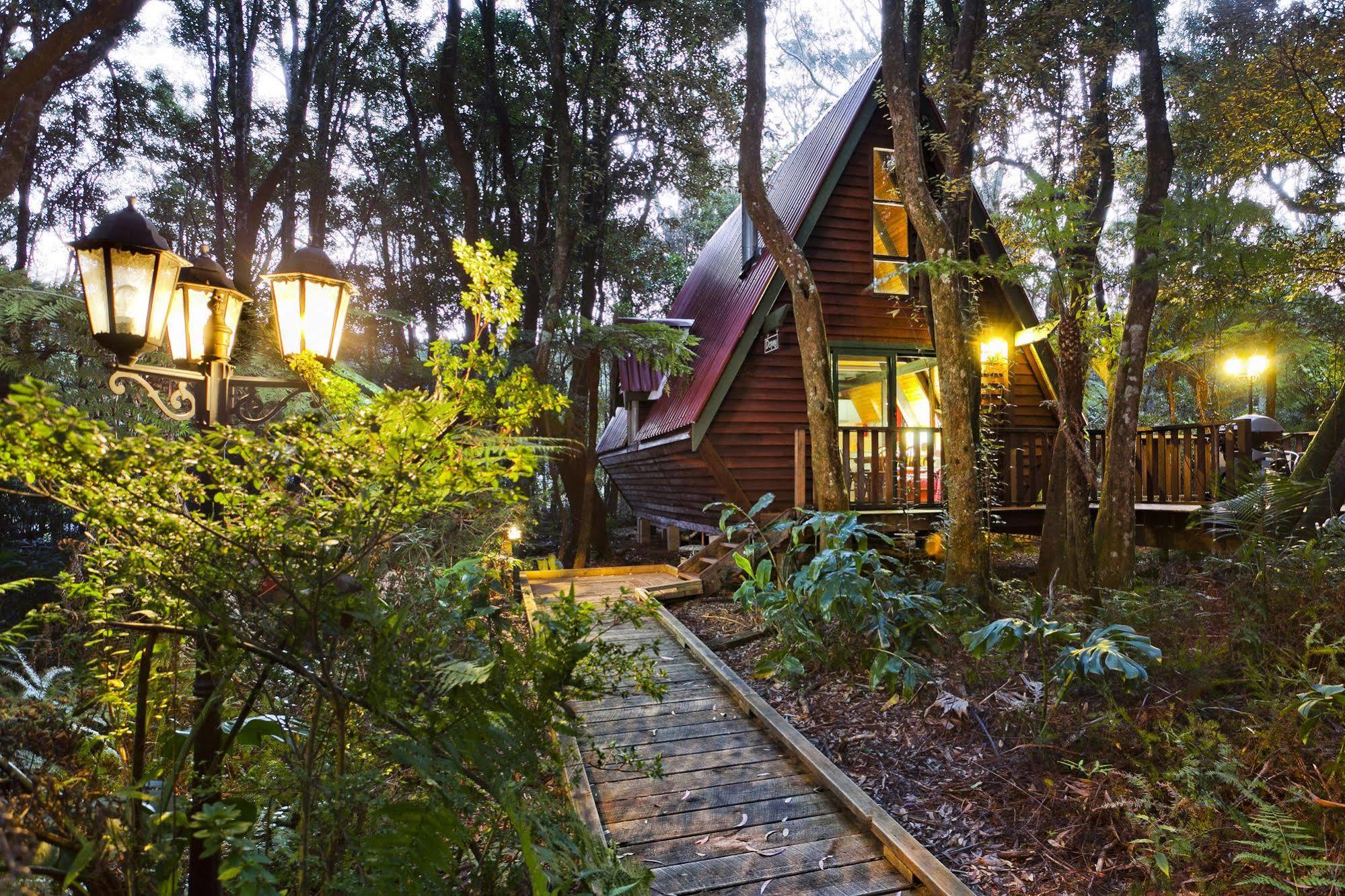 The Mouses House Rainforest Retreat Springbrook Eksteriør billede