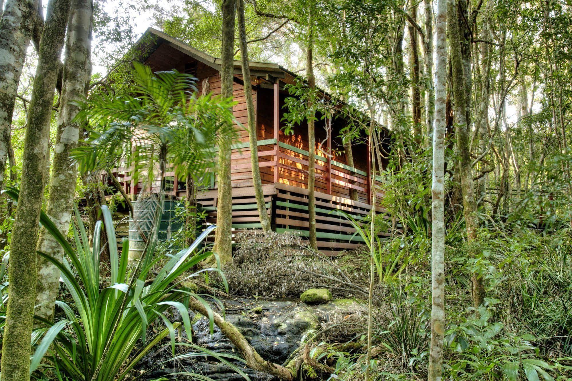 The Mouses House Rainforest Retreat Springbrook Eksteriør billede