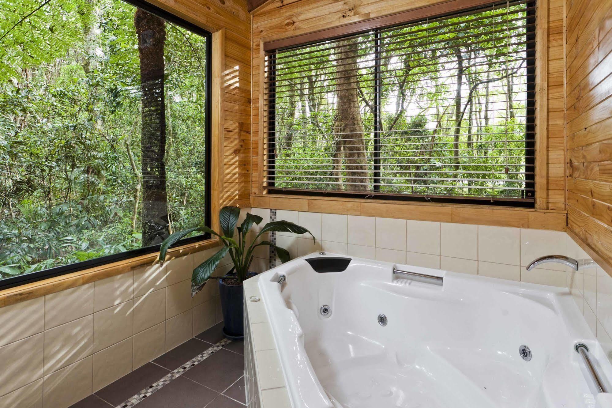 The Mouses House Rainforest Retreat Springbrook Eksteriør billede