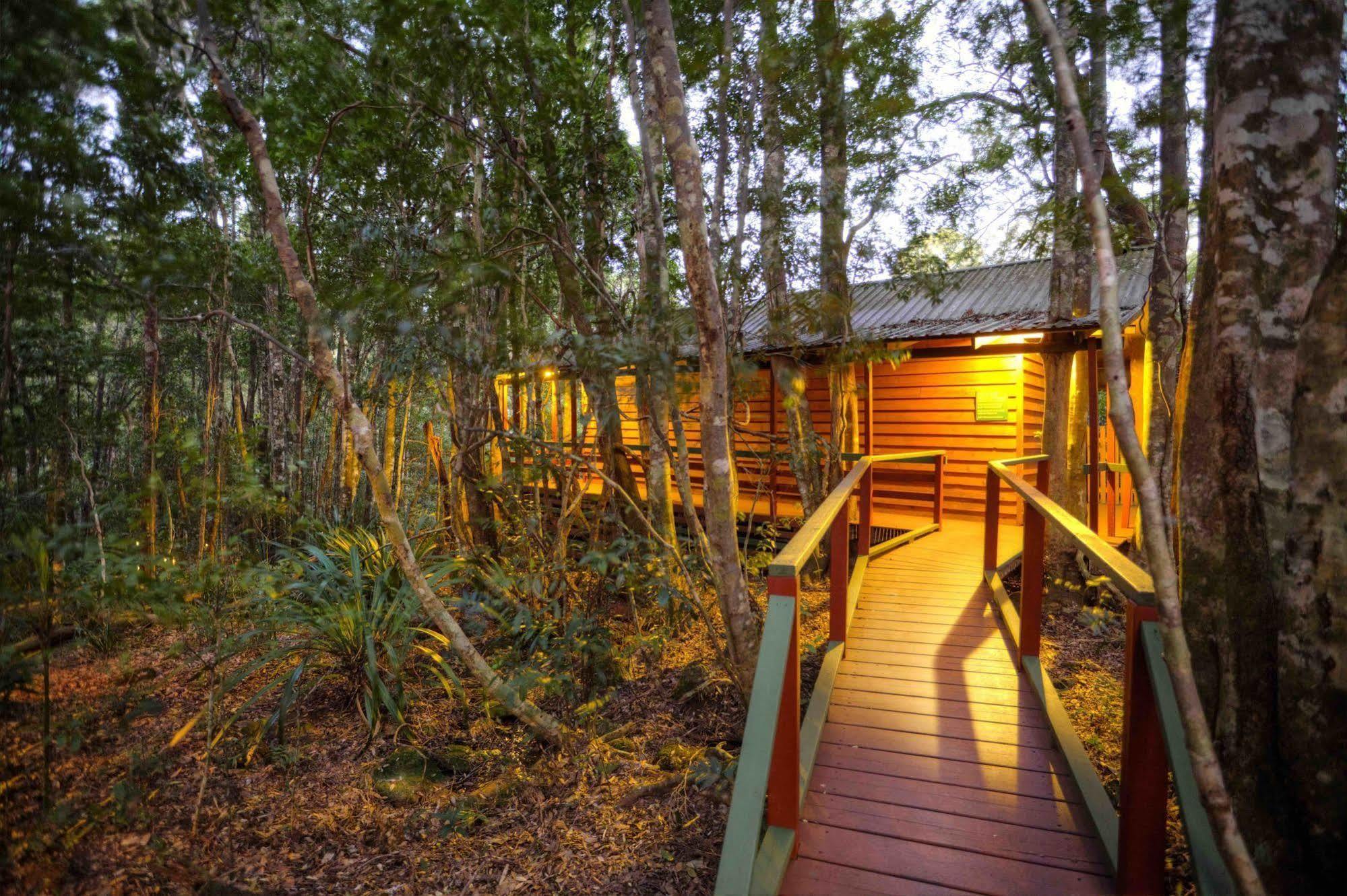 The Mouses House Rainforest Retreat Springbrook Eksteriør billede